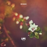 cover: Ditsuo - Life