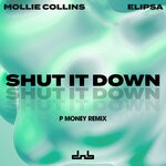 cover: Mollie Collins|Elipsa - Shut It Down (P Money Remix) (Explicit)