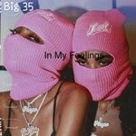 cover: Bigg 35 - In My Feelings