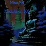 cover: Ninu Brt - Modulation 303