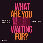 cover: Eli A Free|Eyal Rob|Nenor - What Are You Waiting For?