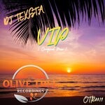 cover: Dj Texsta - VIP