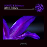 cover: Domoto|Sabyman - Letting Me Down