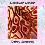 cover: Delroy Jameson - Wildflower Wonder