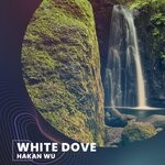 cover: Hakan Wu - White Dove