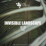 cover: Invisible Landscape - Keep It Funky