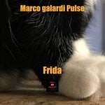 cover: Marco Galardi Pulse - Frida