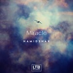 cover: Hamidshax - Miracle (Original Mix)