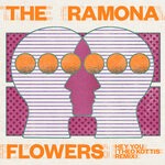 cover: The Ramona Flowers - Hey You (Theo Kottis Remix)