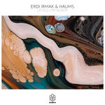 cover: Erdi Irmak|Haums - Lifted / I'm Ready