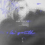 cover: Le Youth - Like You Did