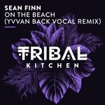 cover: Sean Finn - On The Beach (Yvvan Back Vocal Remix)