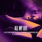 cover: Avrii Castle|Gabriel Dominguez|Victor Porfidio|Zashanell - ALL MY LIFE