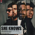 cover: David Guetta|Afro Bros|Dimitri Vegas & Like Mike|Akon - She Knows