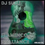 cover: Dj Sulli - Flamenco D'alliance