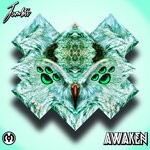 cover: Jumbii - Awaken