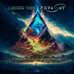 cover: Lysergic Twins|Psyosoy - Frequency Of The Universe