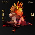 cover: Sthamzen|Brinsley Motsepa - Meet Me