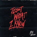 cover: Roy Woods - Test What I Know