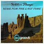 cover: Seldon Thaye - Soul For The Last Time