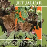 cover: Jet Jaguar - Epiphytes