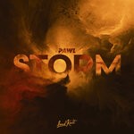 cover: Pawl - Storm