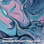 cover: Floris Dice - Gimme What You Got