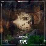 cover: Frederick Ansgar - Resonate