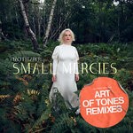 cover: Izo Fitzroy - Small Mercies (Art Of Tones Remixes)