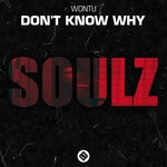 cover: Wontu - Don't Know Why