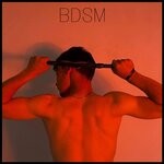 cover: Vanz - BDSM