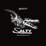 cover: Optimystic - Salty Waterz (Instrumental)