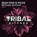 cover: Picco|Sean Finn - Besame Mucho