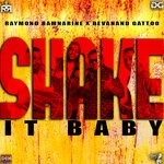 cover: Raymond Ramnarine - Shake It Baby