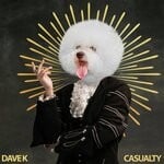 cover: Dave K (uk) - Casualty