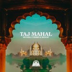 cover: Bedo97|Cyb3r0n|Skyder - Taj Mahal