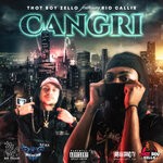 cover: Rio Callix|Thot Boy Zello - Cangri (Explicit)