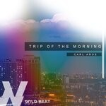 cover: Carl Aros - Trip Of The Morning