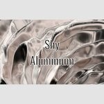 cover: Shy - Aluminium