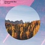 cover: Pier Orbit - Diamond Sky