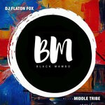 cover: Dj Flaton Fox - Middle Tribe