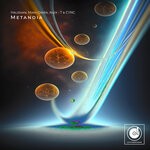 cover: Various - Metanoia