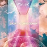 cover: Owelz - Won't Come Down