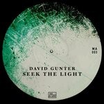 cover: David Gunter - Seek The Light