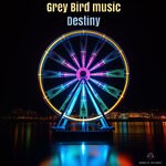 cover: Grey Bird Music - Destiny