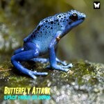 cover: Butterfly Attack - Space Frogs Go Down