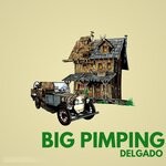 cover: Delgado - Big Pimping