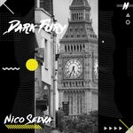 cover: Nico Selva - Dark Fury