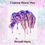 cover: Arnold Horn - I Wanna Know You