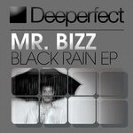 cover: Mr Bizz - Black Rain